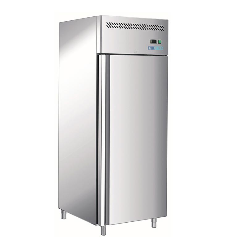 Морозильна шафа Forcold G-GN650BT-FC