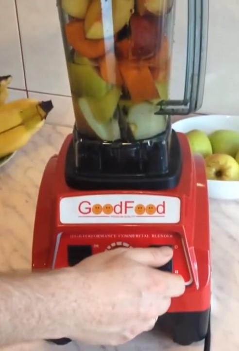 Блендер GOODFOOD PROFI BL2000