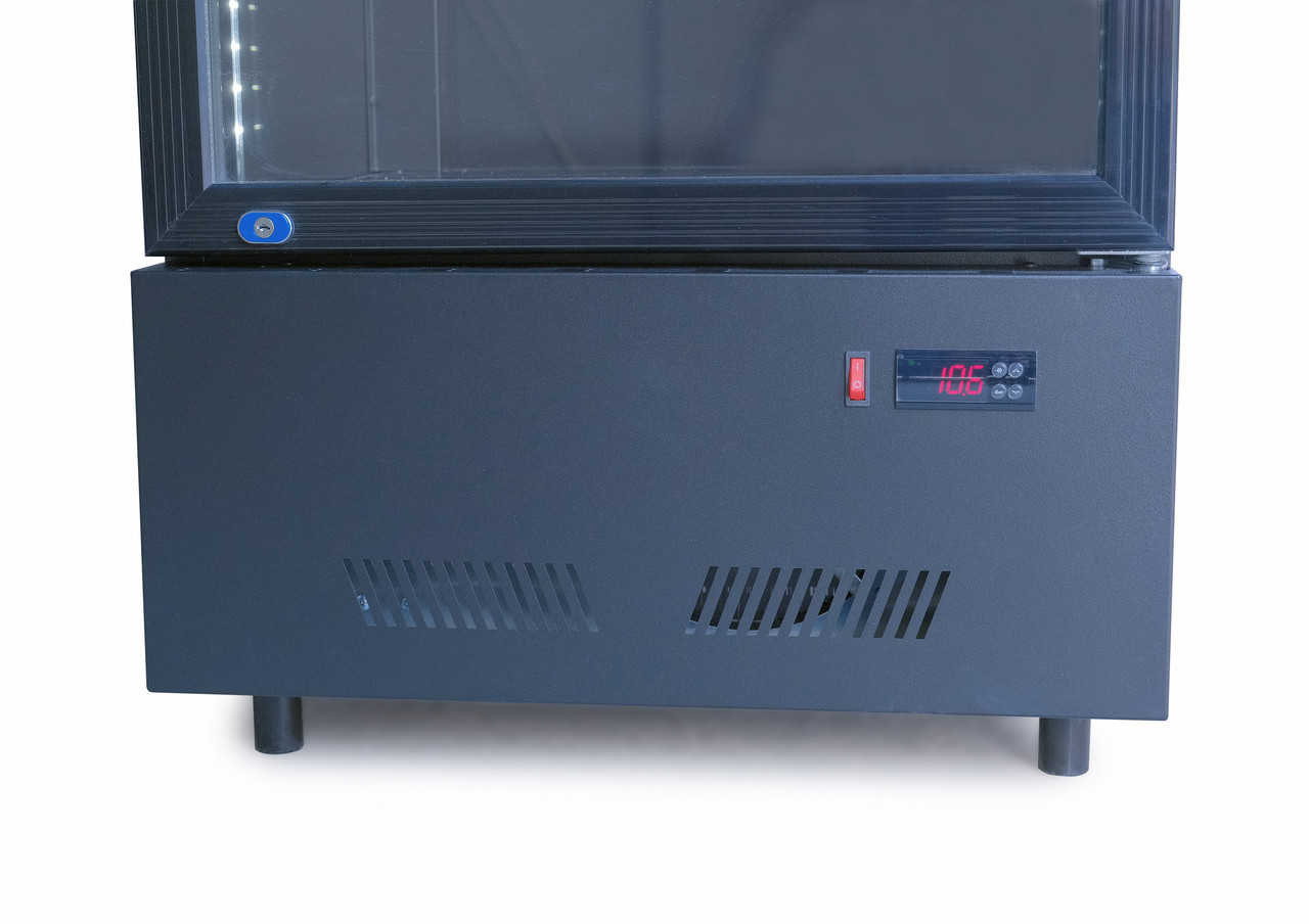 Холодильный шкаф для напитков GoodFood BC360NBB2LED